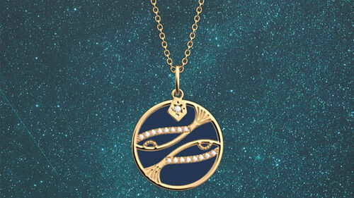 Signe du Zodiaque : Poissons