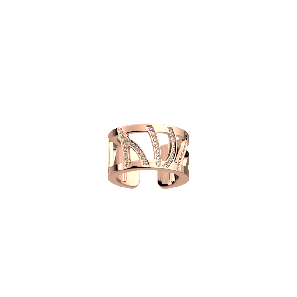 perroquet-ring-bague_large-1