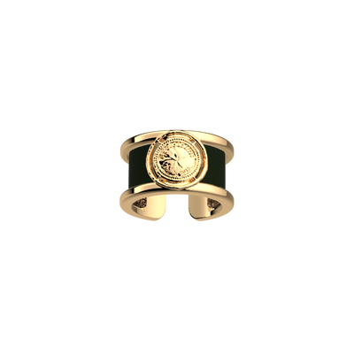 bague-pepite-cuir-reversible-bronze-paillettes-vert-de-gris-pack_bagues_essentielles