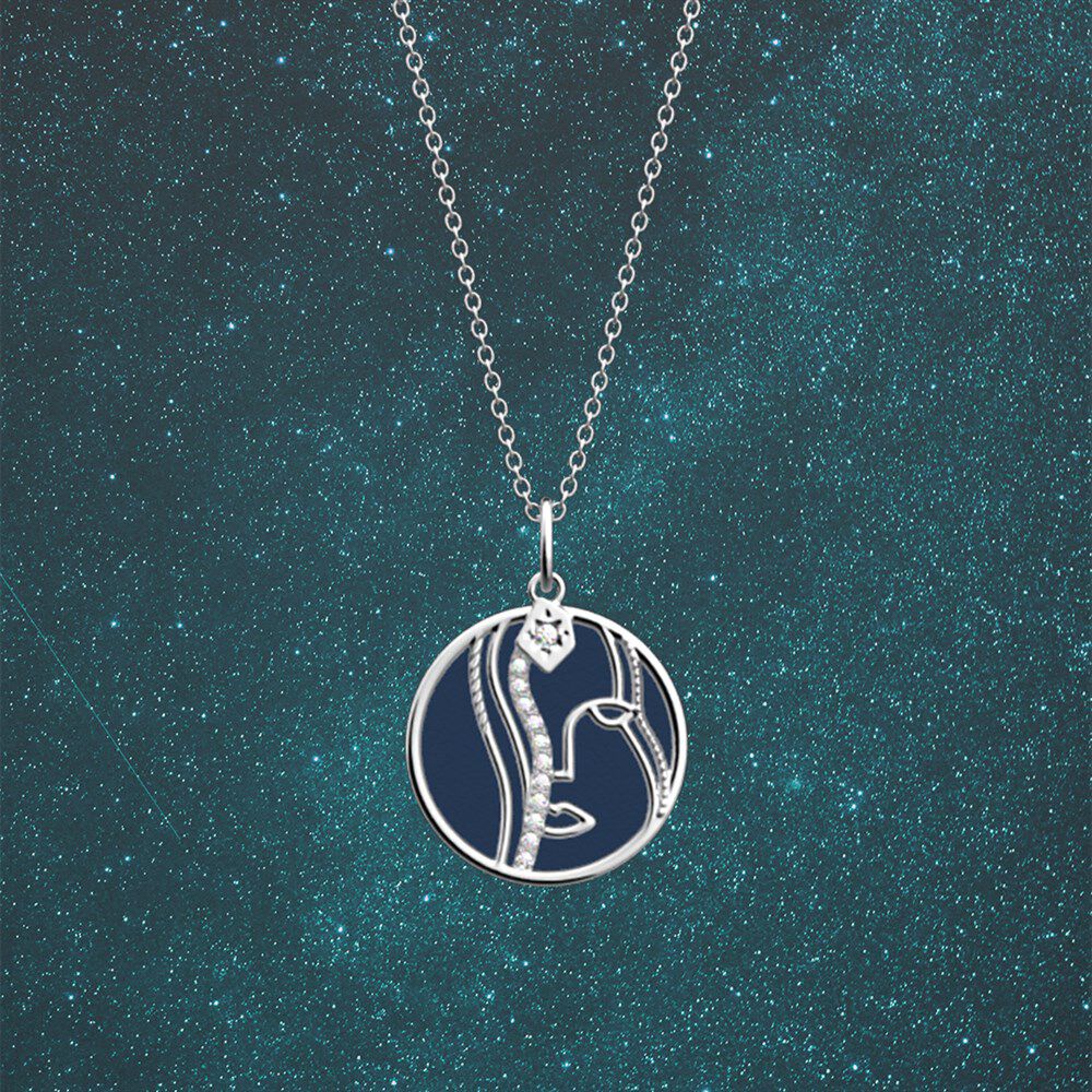 collier-vierge-cuir-reversible-sun-marine-pack_collier_zodiaque-5