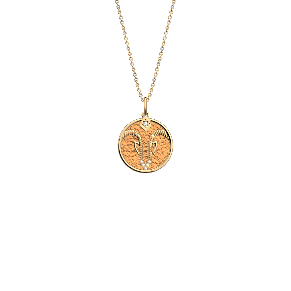 capricorn-necklace-copper-mango-reversible-insert-pack_collier_zodiaque-1