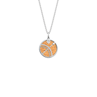 capricorn-necklace-bronze-terracotta-reversible-insert-pack_collier_zodiaque-1