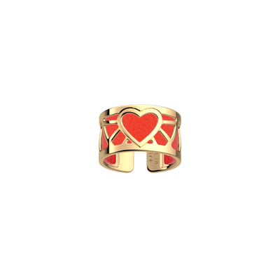 bague-c-ur-cuir-reversible-rouge-passion-glamour-pack_bagues_essentielles