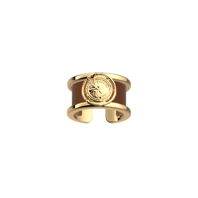 bague-pepite-cuir-reversible-terre-cuite-bronze-pack_bague_precieuse
