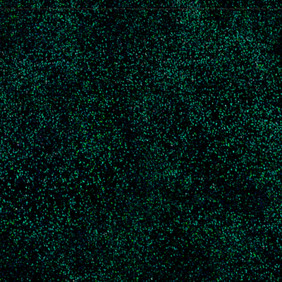 lining-les-dentelles-green-glitter-la_pochette