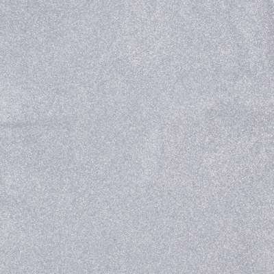 lining-les-dentelles-silver-glitter-le_rectangle