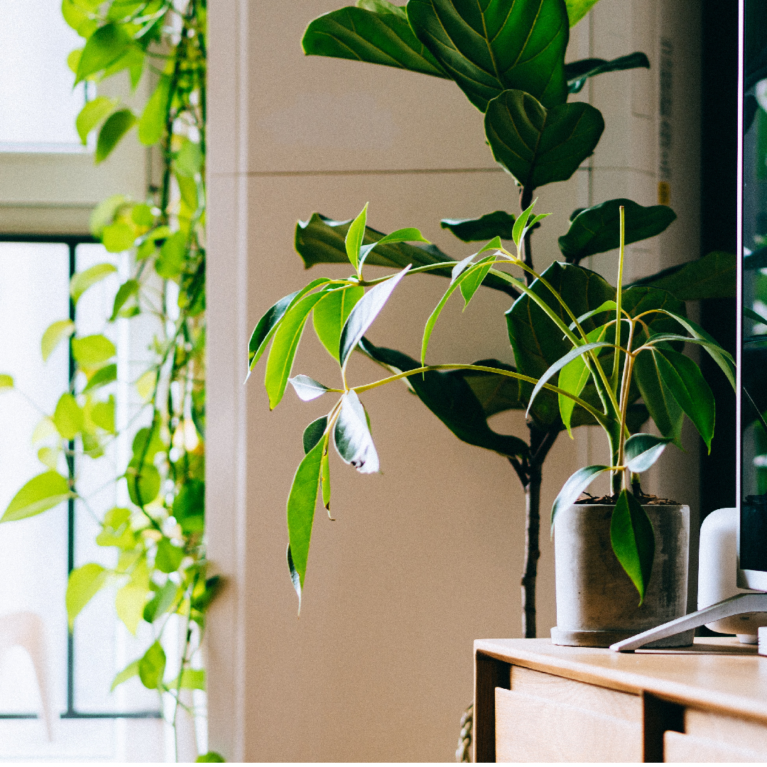 Image without a name